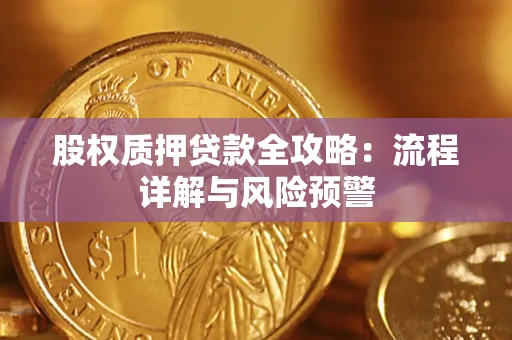 武汉股权质押贷款全攻略：流程详解与风险预警