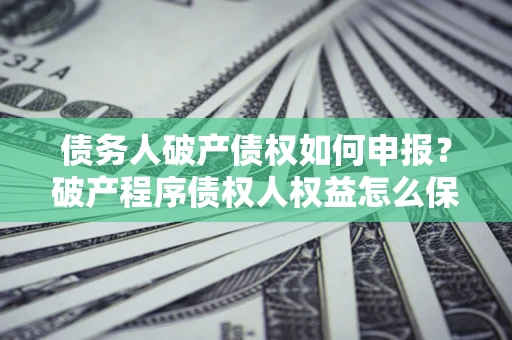 武汉债务人破产债权如何申报？破产程序债权人权益怎么保障？