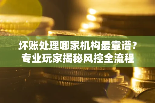 武汉坏账处理哪家机构最靠谱？专业玩家揭秘风控全流程
