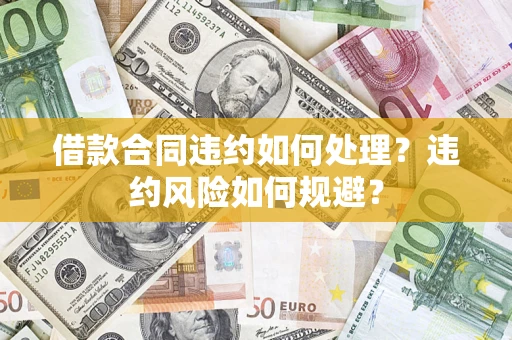 武汉借款合同违约如何处理？违约风险如何规避？