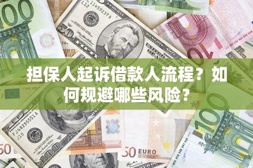 武汉担保人起诉借款人流程？如何规避哪些风险？