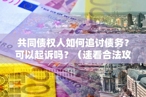 武汉共同债权人如何追讨债务？可以起诉吗？（速看合法攻略）
