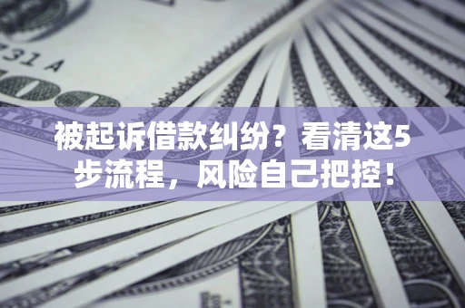 武汉被起诉借款纠纷？看清这5步流程，风险自己把控！