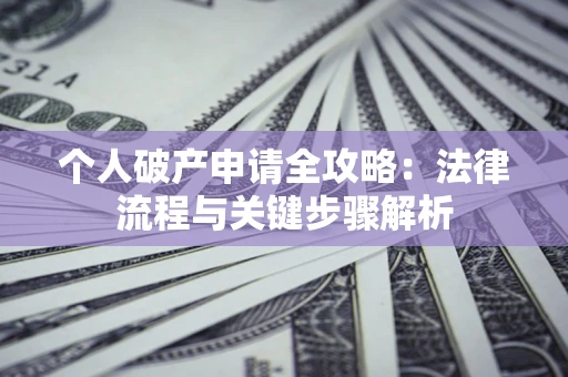 武汉个人破产申请全攻略：法律流程与关键步骤解析