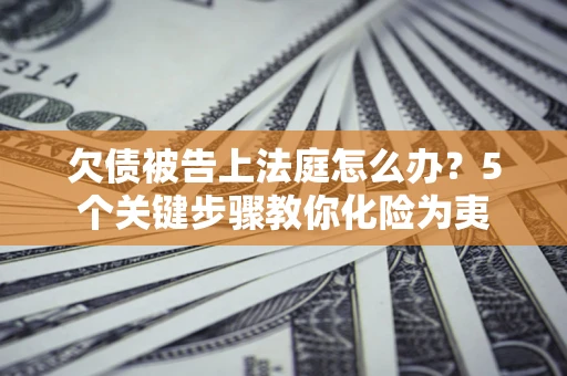 武汉欠债被告上法庭怎么办？5个关键步骤教你化险为夷